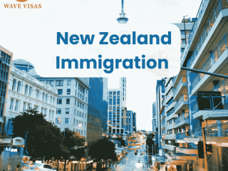 Wave Visas | Professional Visa and newzealand immigration Support