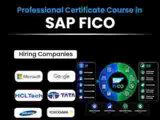 sap-fico-training-master-financial-accounting-controlling-skills