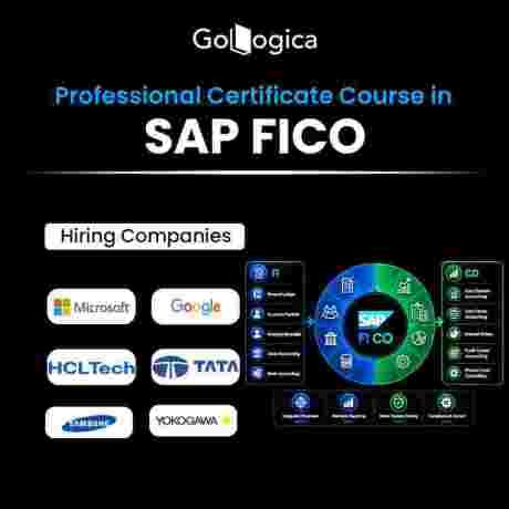 sap-fico-training-master-financial-accounting-controlling-skills-big-0